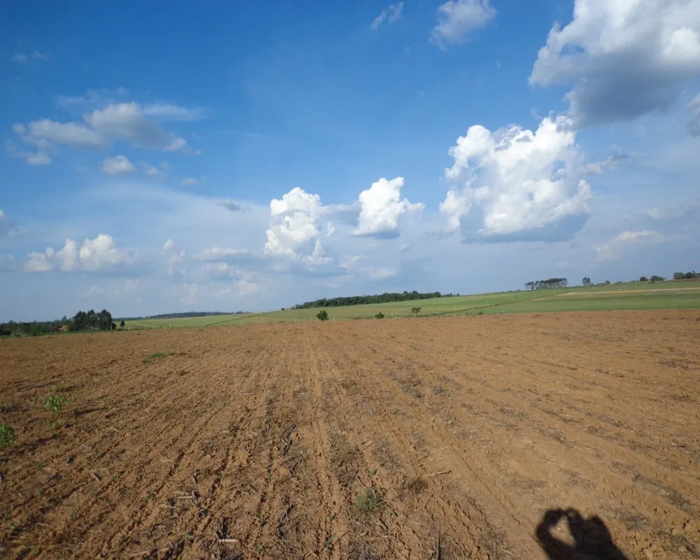 Fazenda - Foto 7
