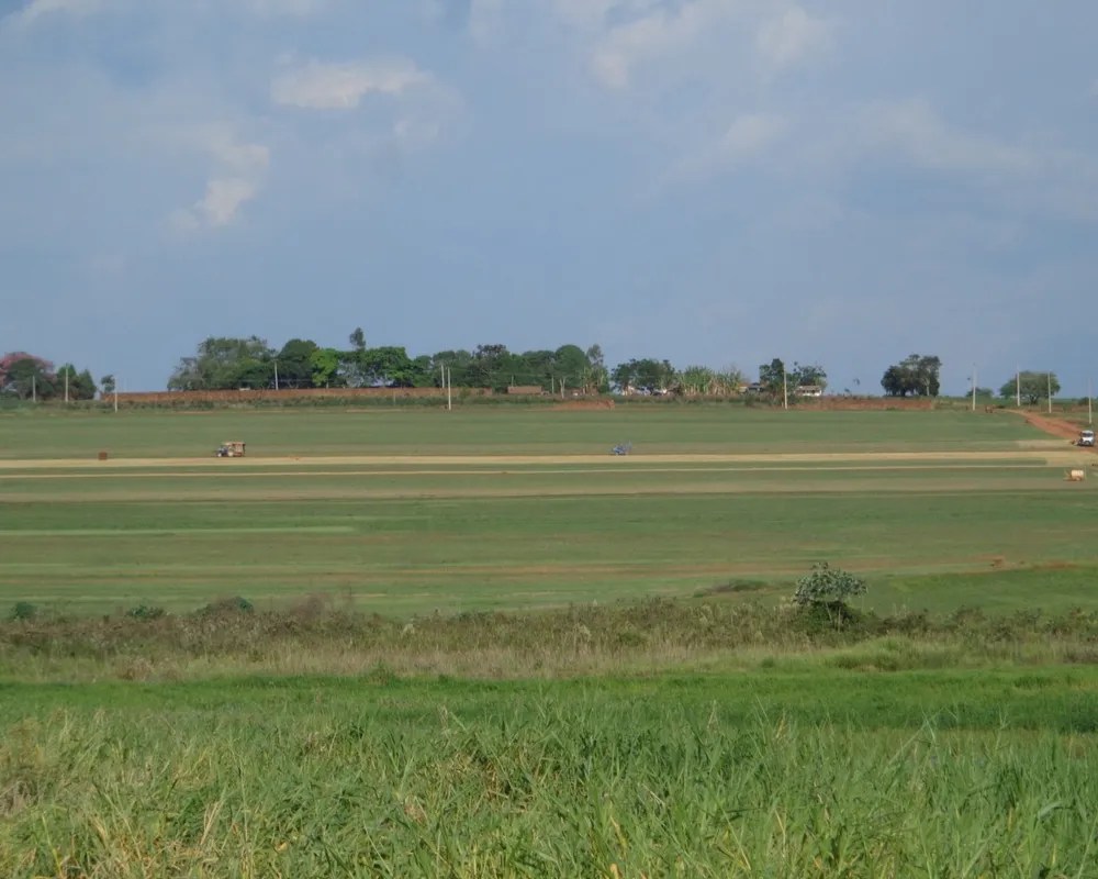 Fazenda - Foto 1