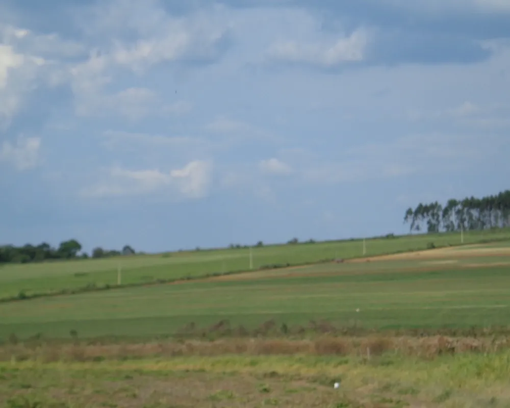Fazenda - Foto 6