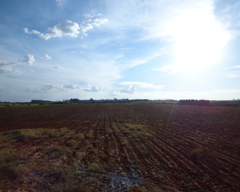 Fazenda - Foto 8
