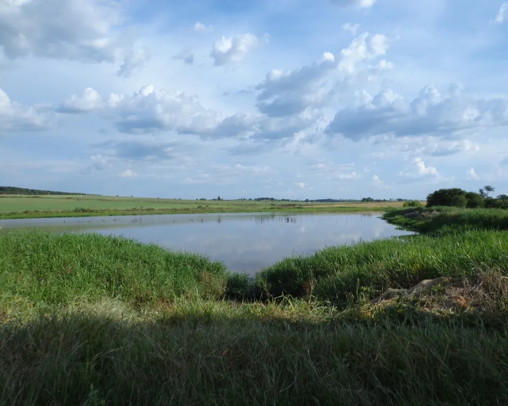Fazenda - Foto 5