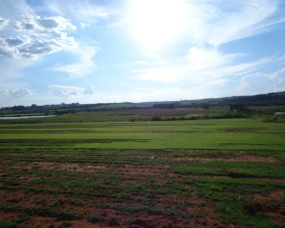 Fazenda - Foto 3