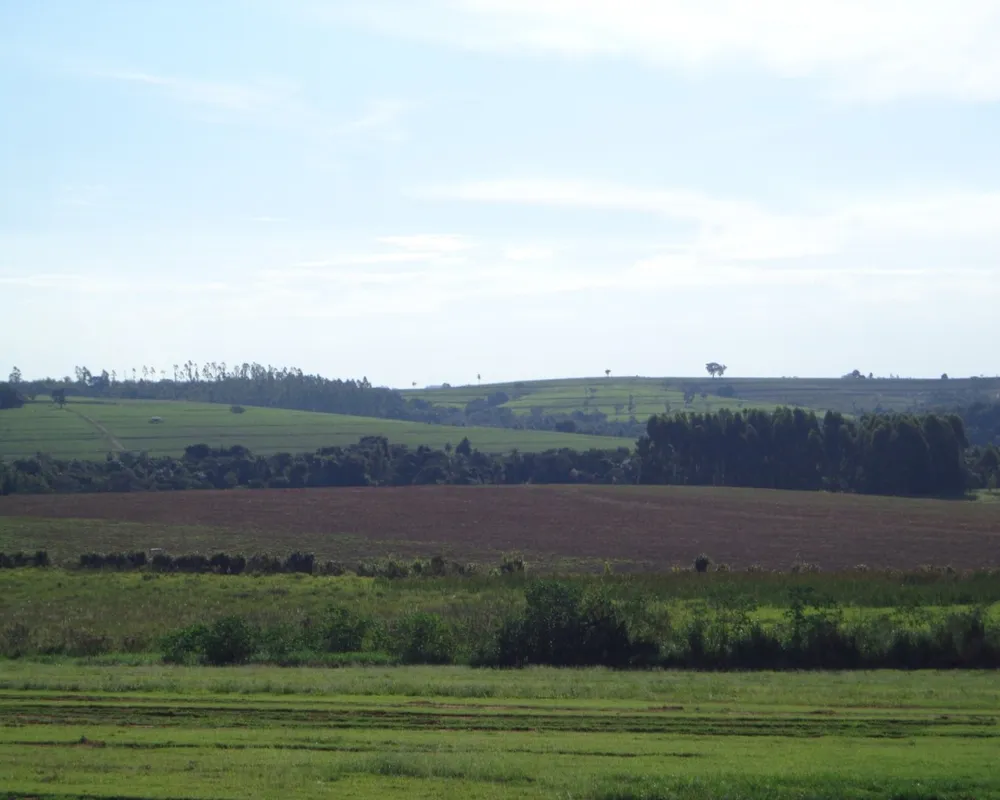 Fazenda - Foto 4