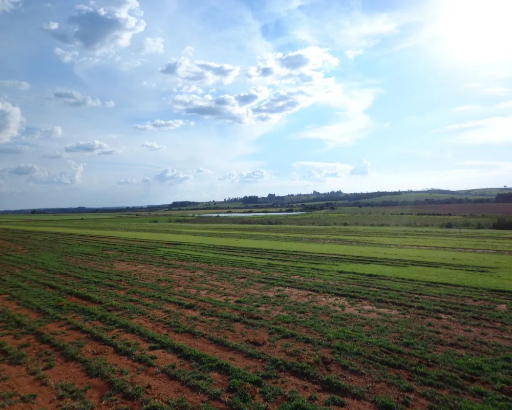 Fazenda - Foto 2