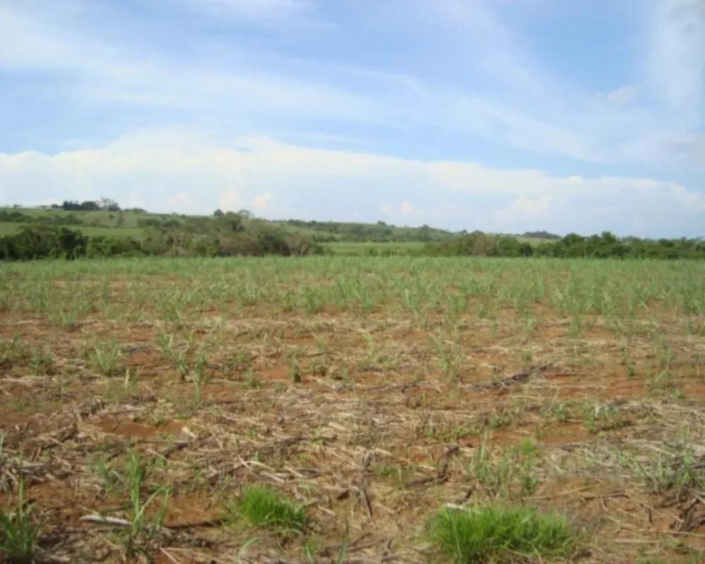 Fazenda - Foto 6