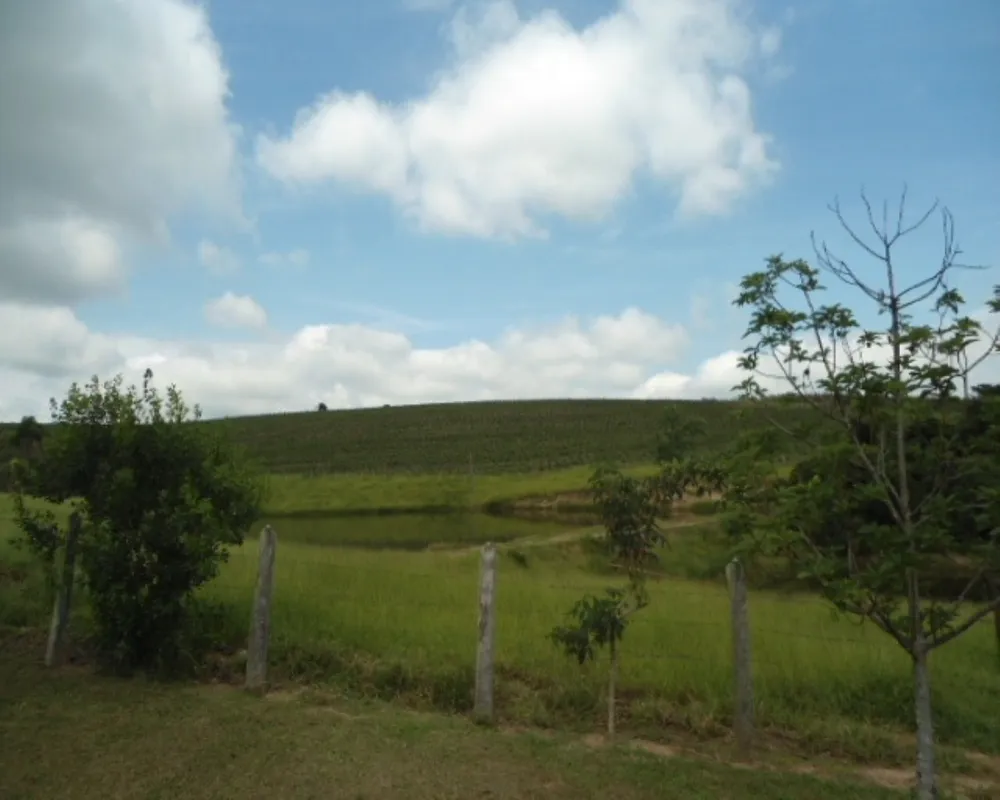 Fazenda - Foto 8