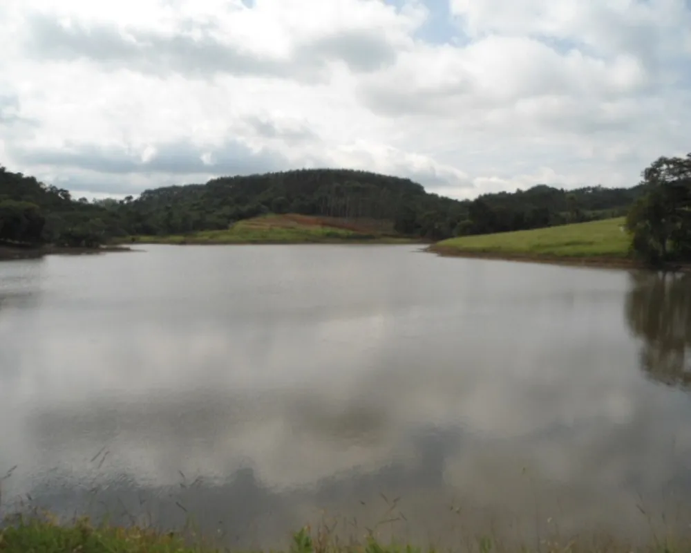Fazenda - Foto 1