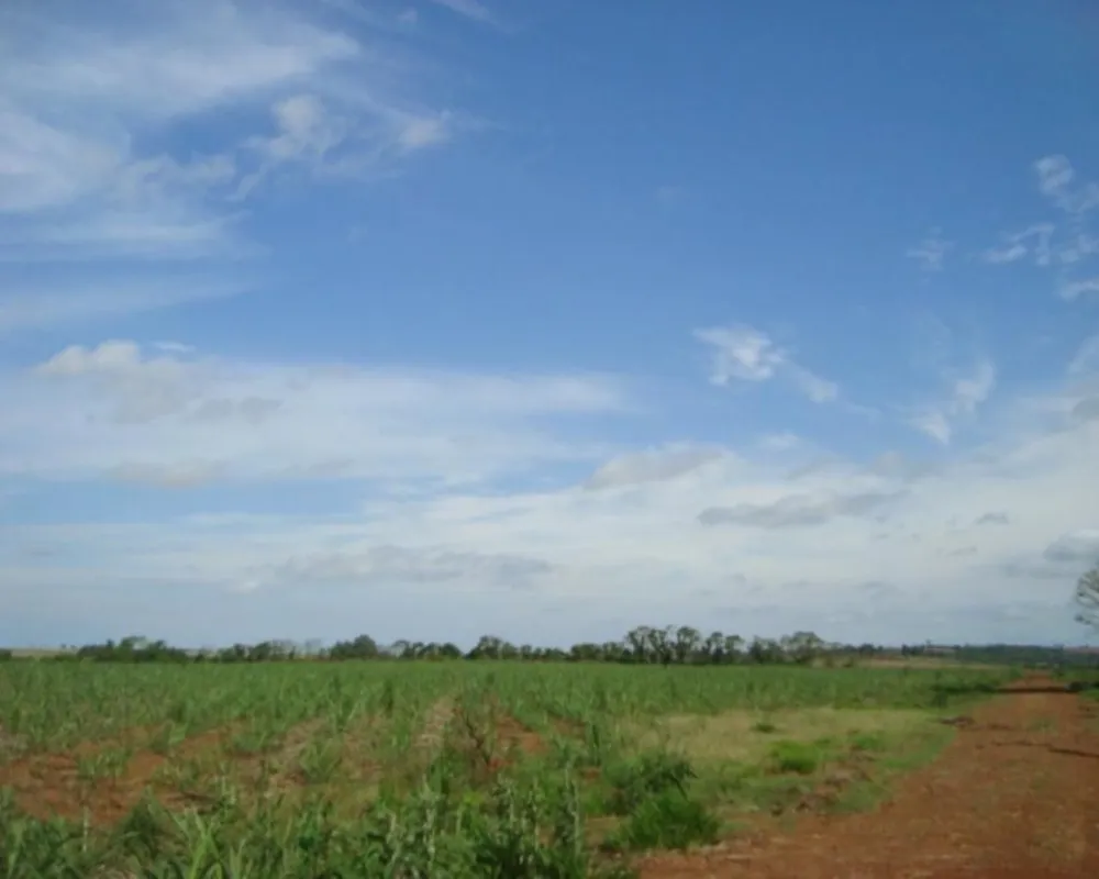 Fazenda - Foto 3