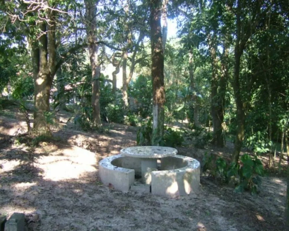 Sítio, 5 quartos - Foto 4