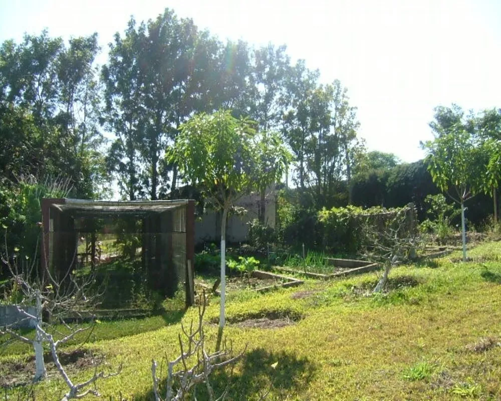 Sítio, 5 quartos - Foto 24