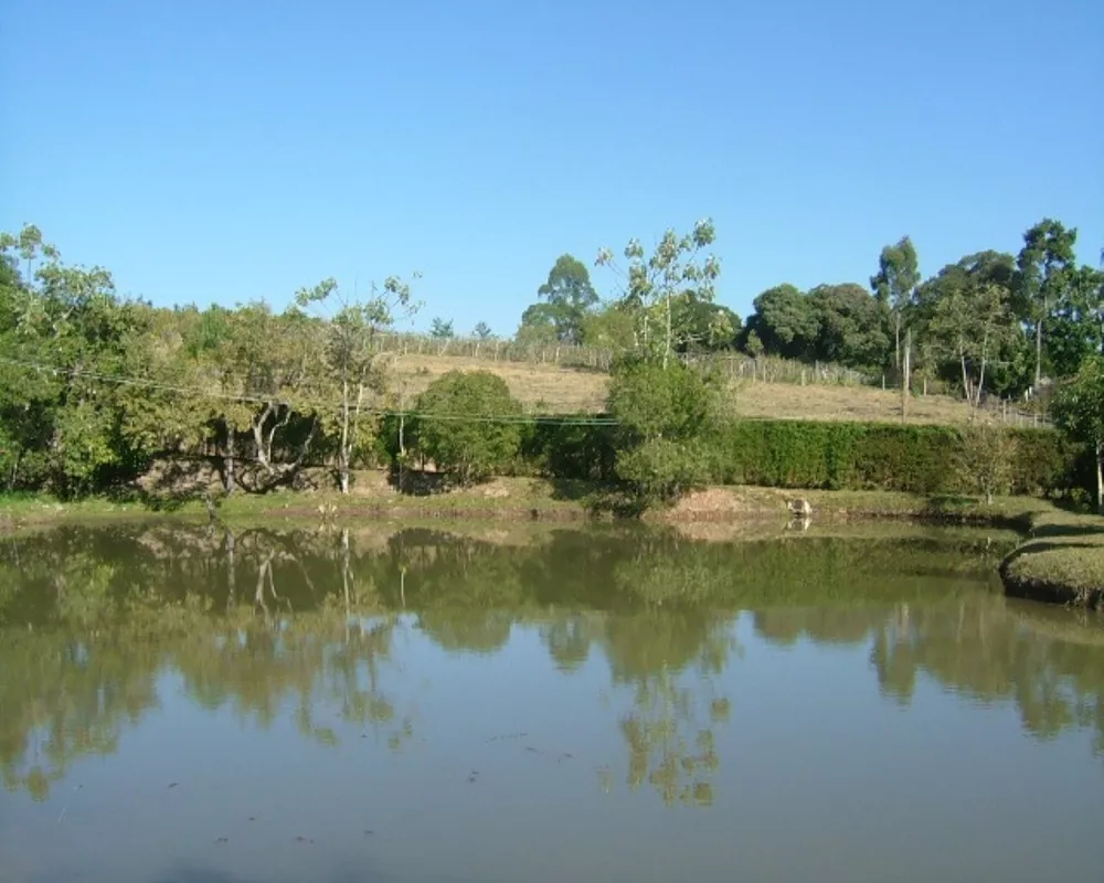 Sítio, 5 quartos - Foto 31