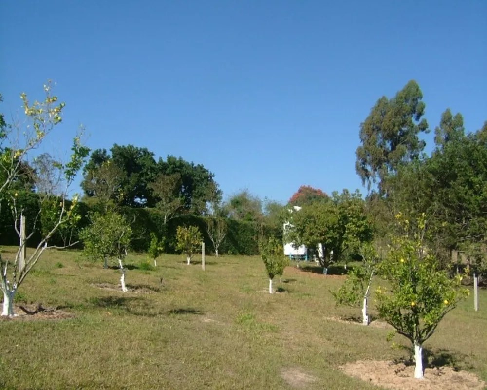 Sítio, 5 quartos - Foto 27