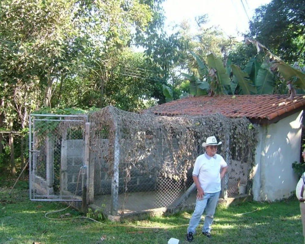 Sítio, 5 quartos - Foto 29