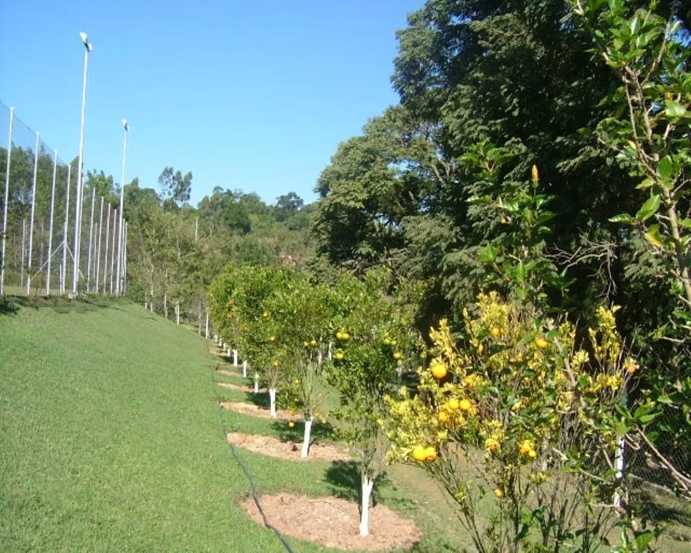 Sítio, 5 quartos - Foto 28