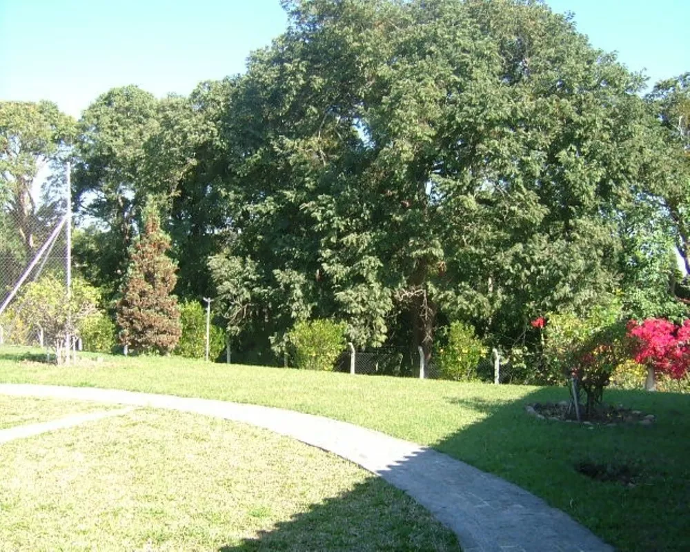 Sítio, 5 quartos - Foto 26