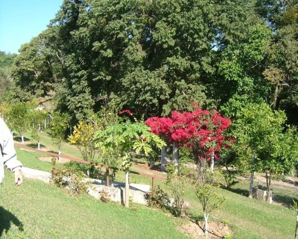 Sítio, 5 quartos - Foto 33