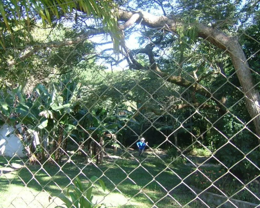 Sítio, 5 quartos - Foto 29