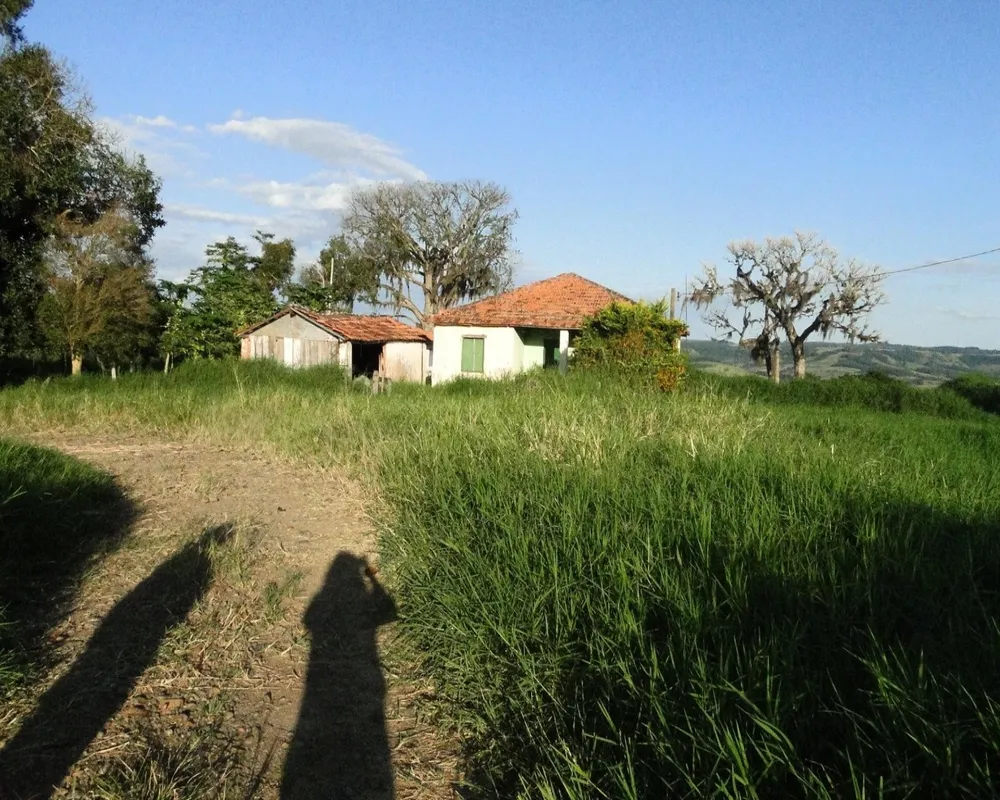 Fazenda - Foto 4