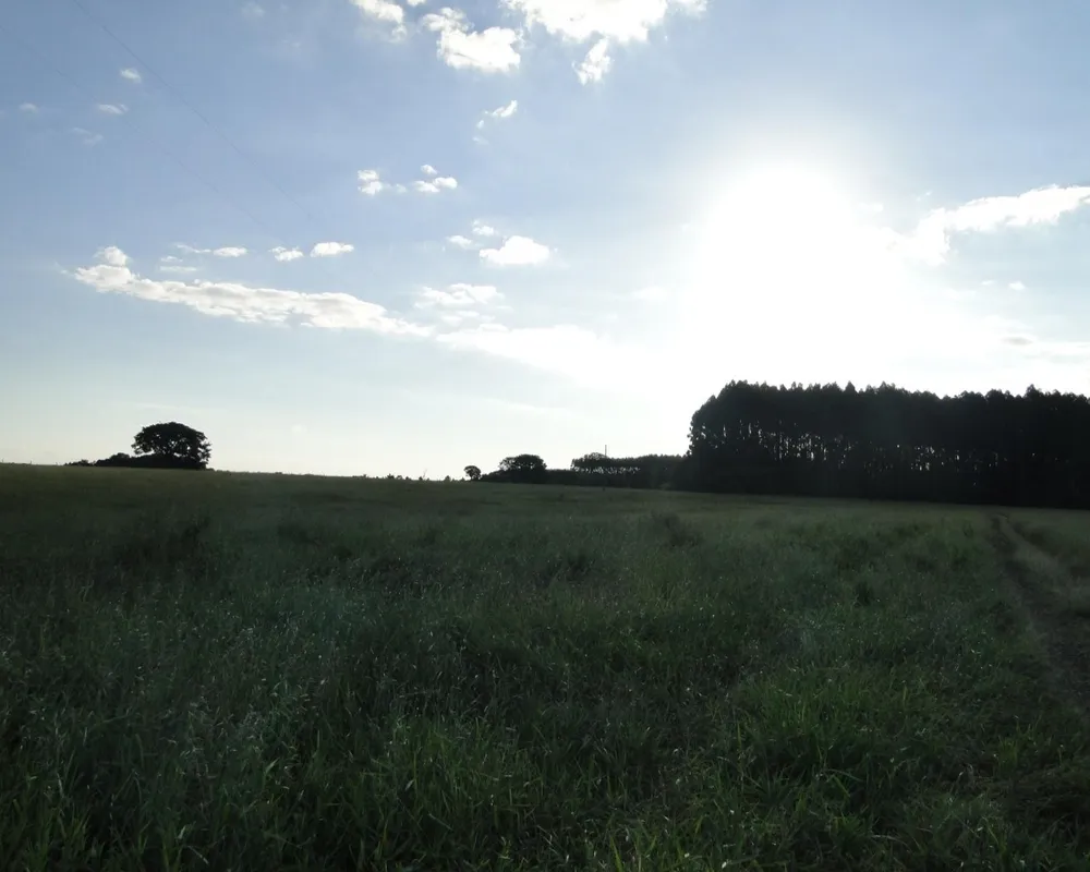 Fazenda - Foto 2