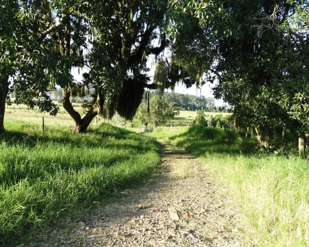 Fazenda - Foto 5
