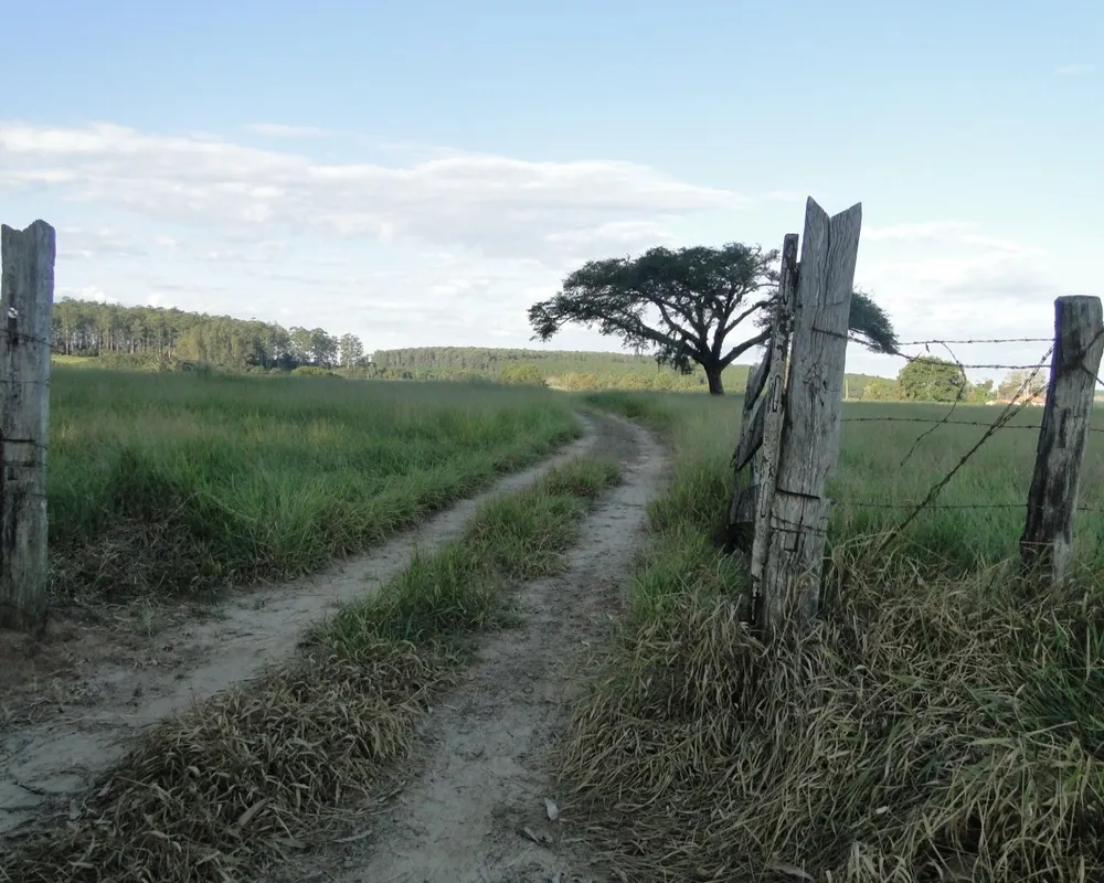 Fazenda - Foto 8