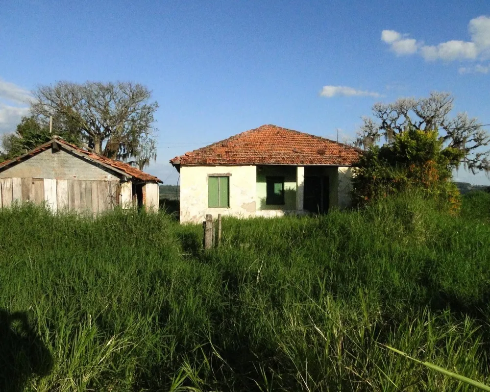 Fazenda - Foto 6