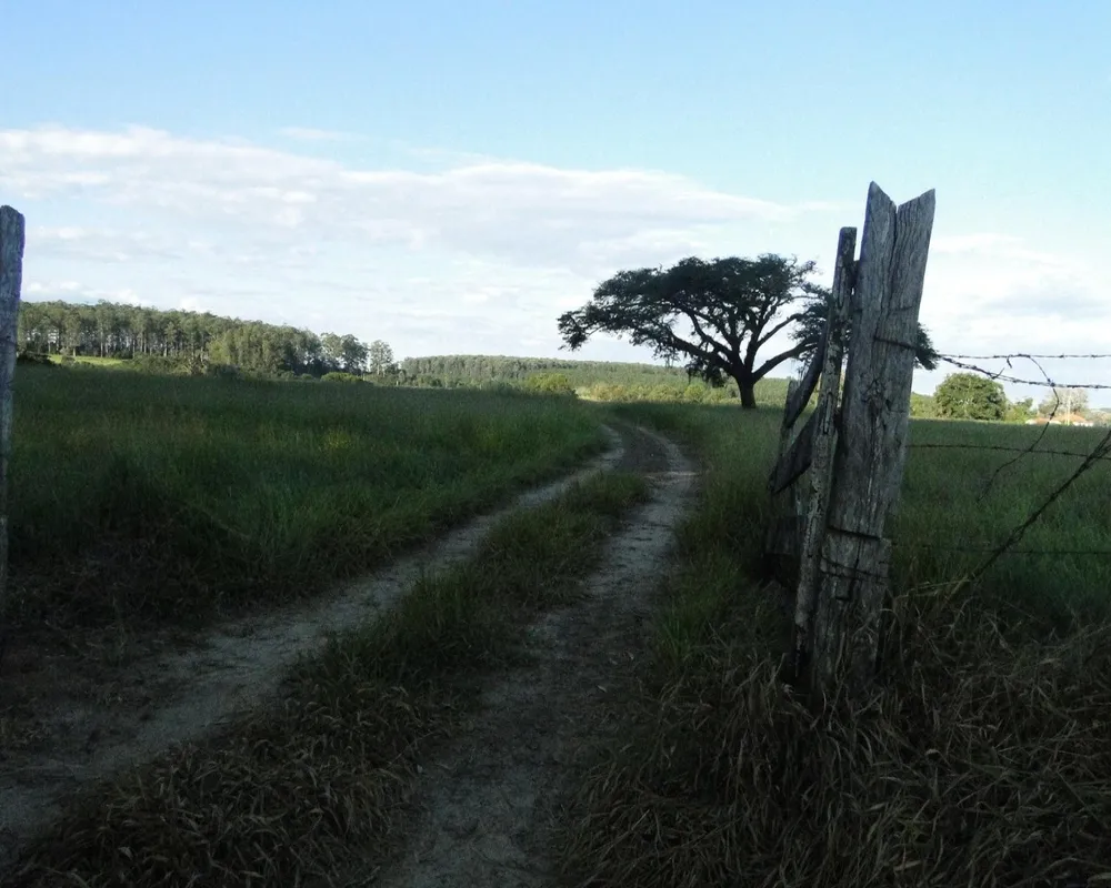 Fazenda - Foto 7