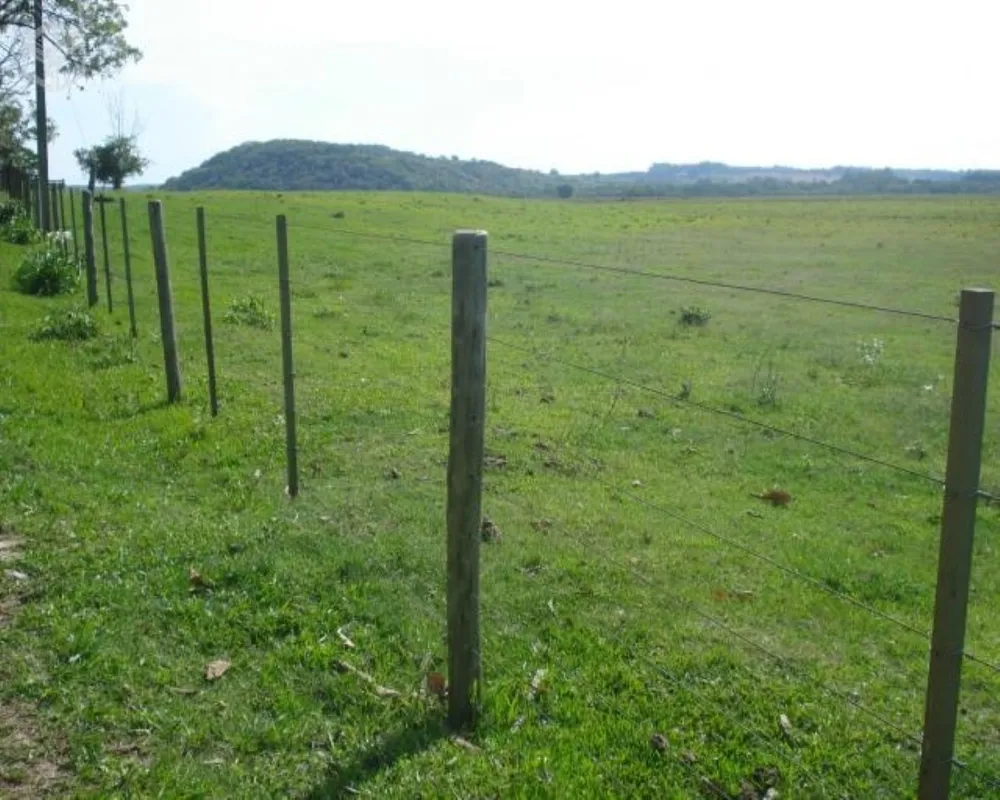 Fazenda - Foto 7
