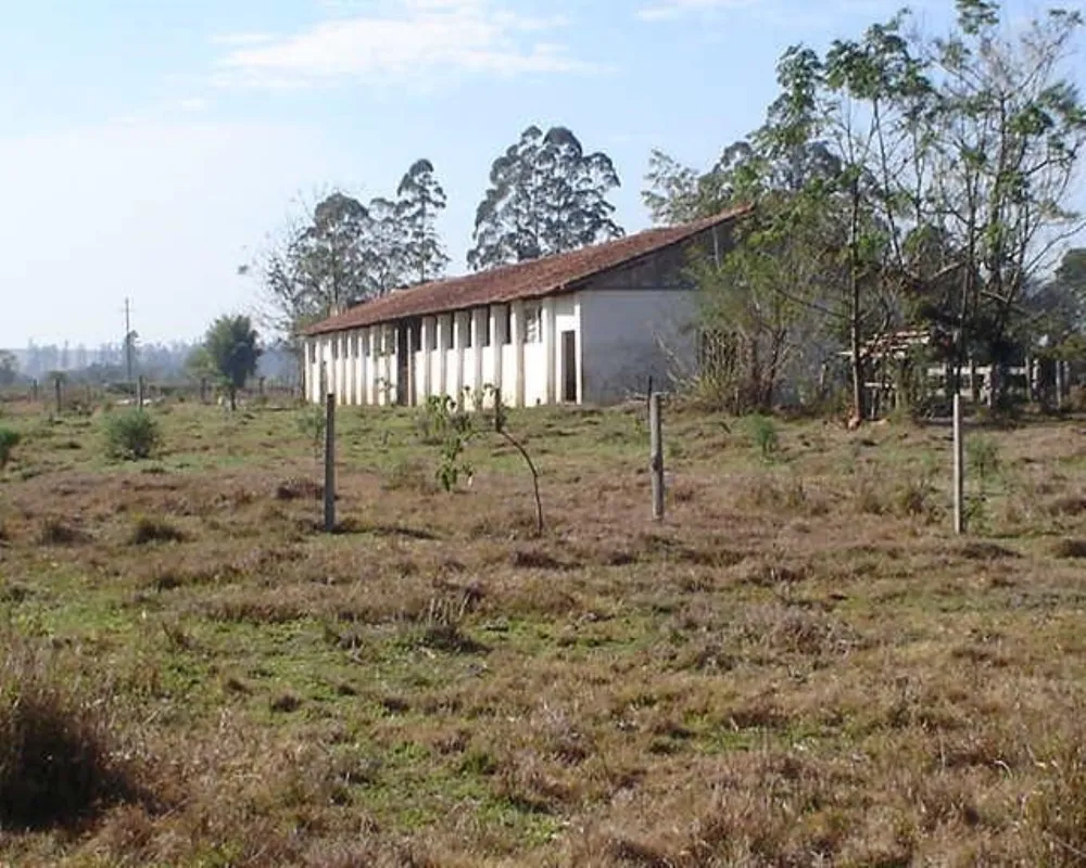 Fazenda - Foto 3