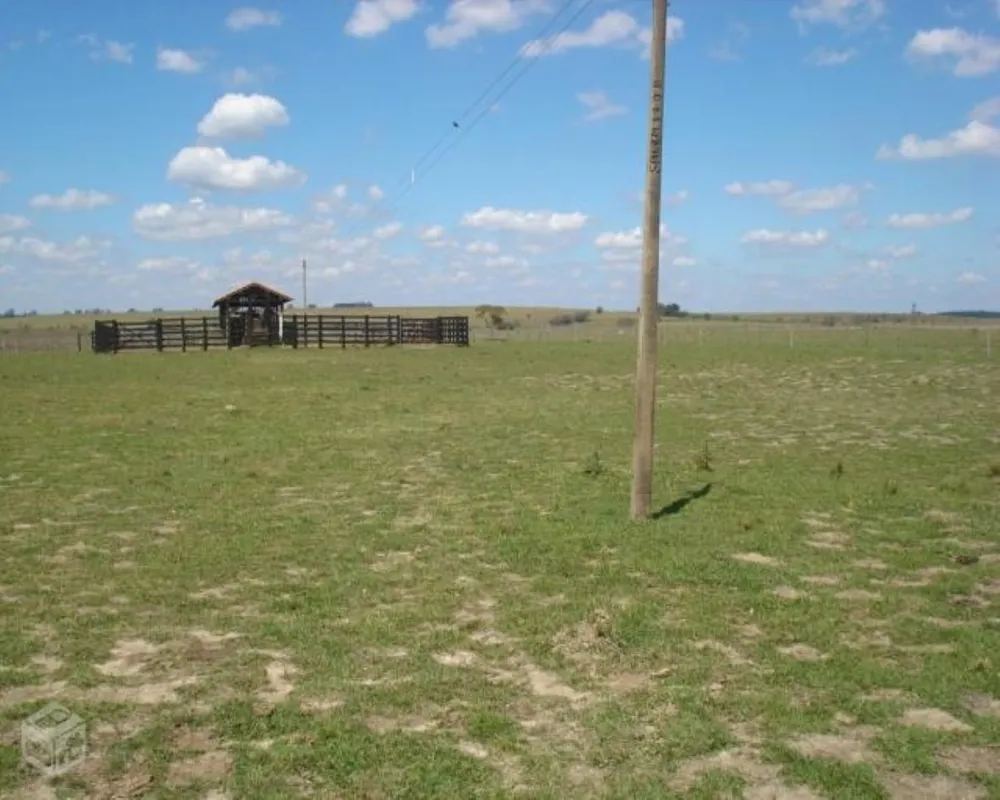 Fazenda - Foto 6