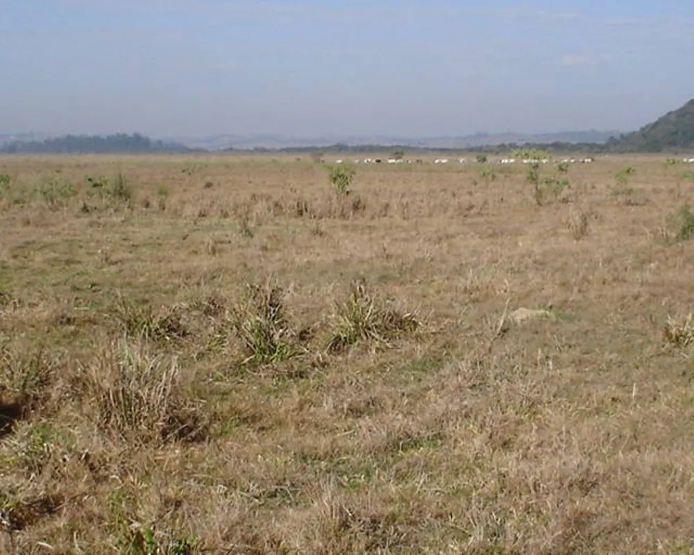Fazenda - Foto 1