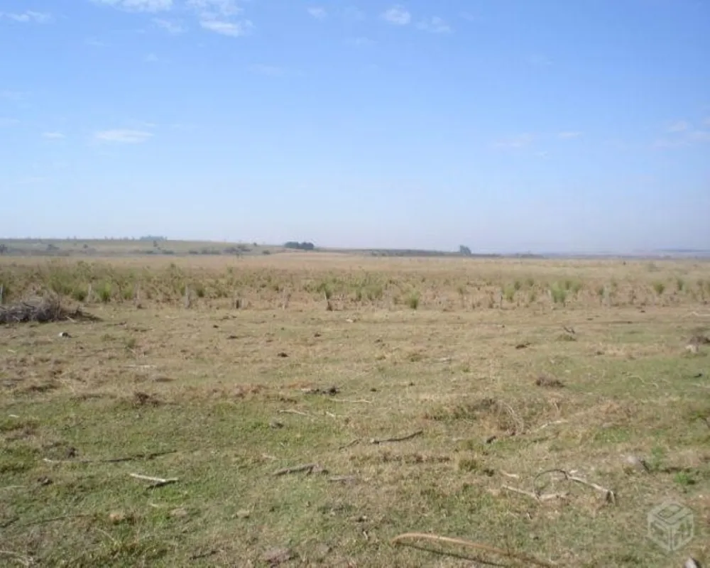 Fazenda - Foto 4