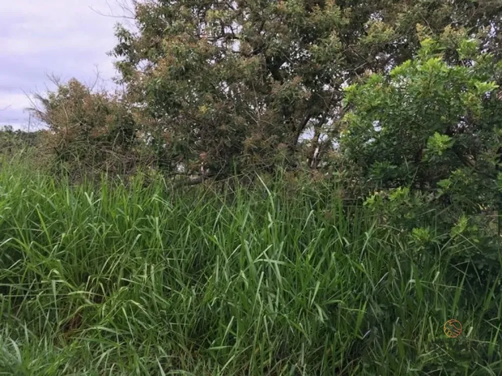 Terreno, 3200 m² - Foto 2