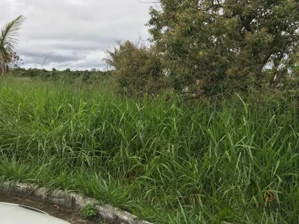 Terreno, 3200 m² - Foto 1