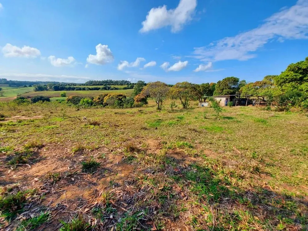 Terreno, 5 hectares - Foto 4