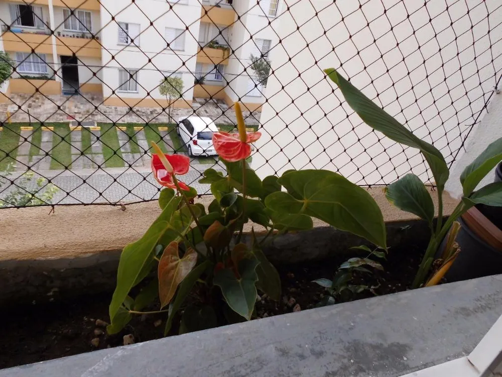 Apartamento, 3 quartos, 65 m² - Foto 15