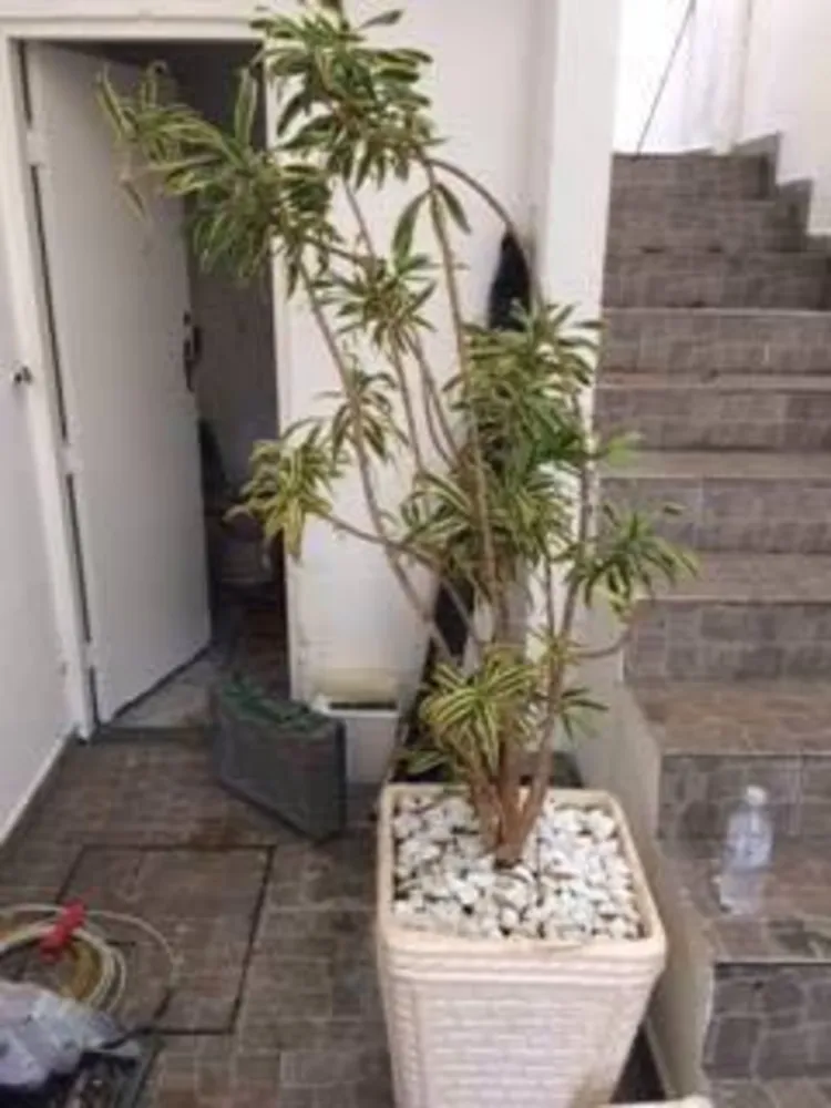 Sobrado, 3 quartos, 85 m² - Foto 14