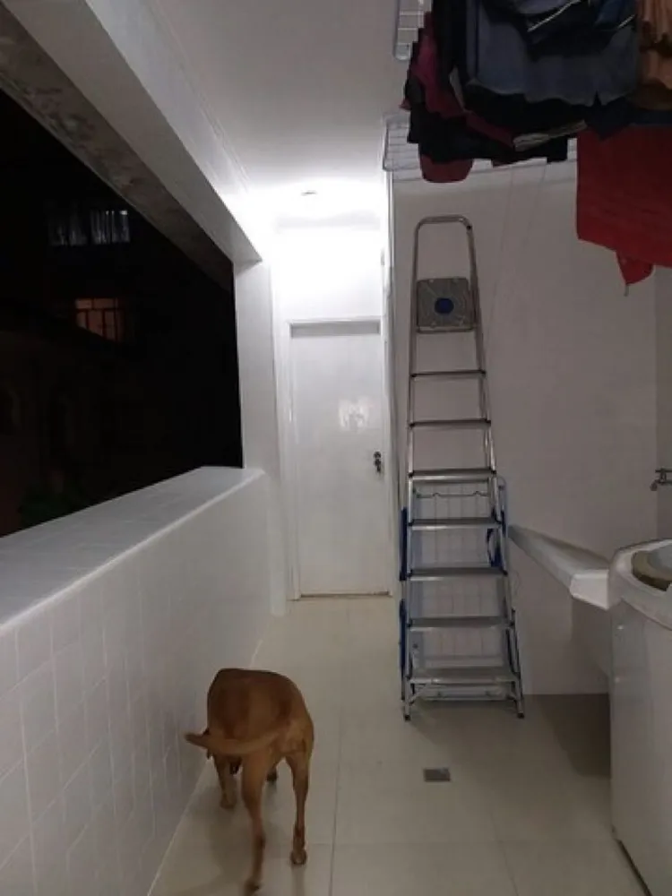 Casa, 4 quartos, 200 m² - Foto 9