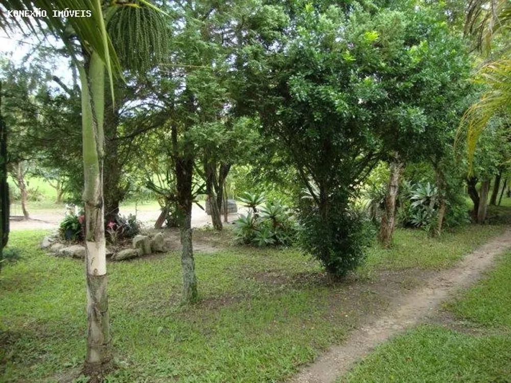 Terreno, 3 hectares - Foto 13