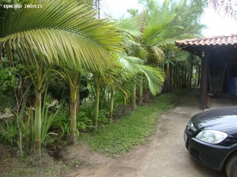Terreno, 3 hectares - Foto 3
