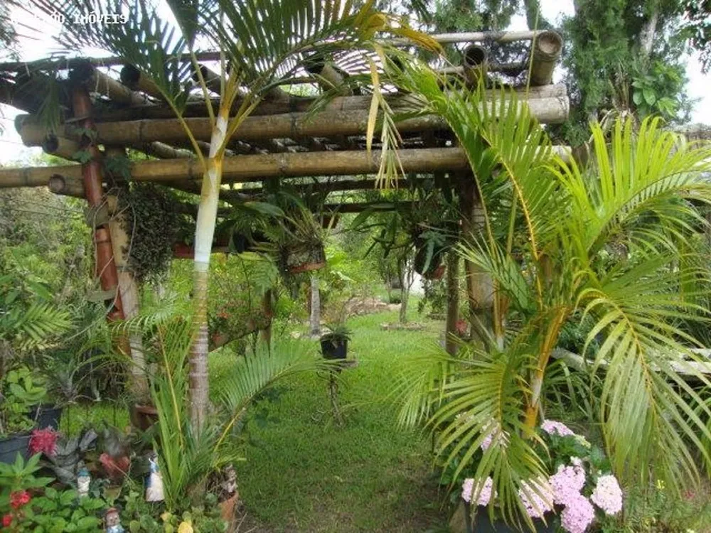 Terreno, 3 hectares - Foto 16