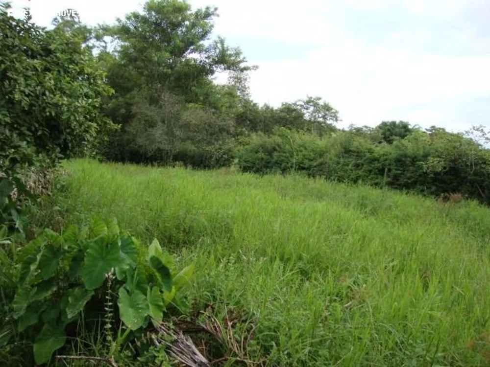 Terreno, 3 hectares - Foto 11