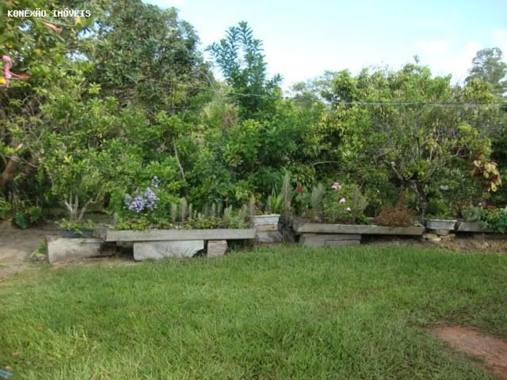 Terreno, 3 hectares - Foto 7