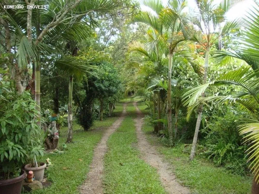 Terreno, 3 hectares - Foto 14