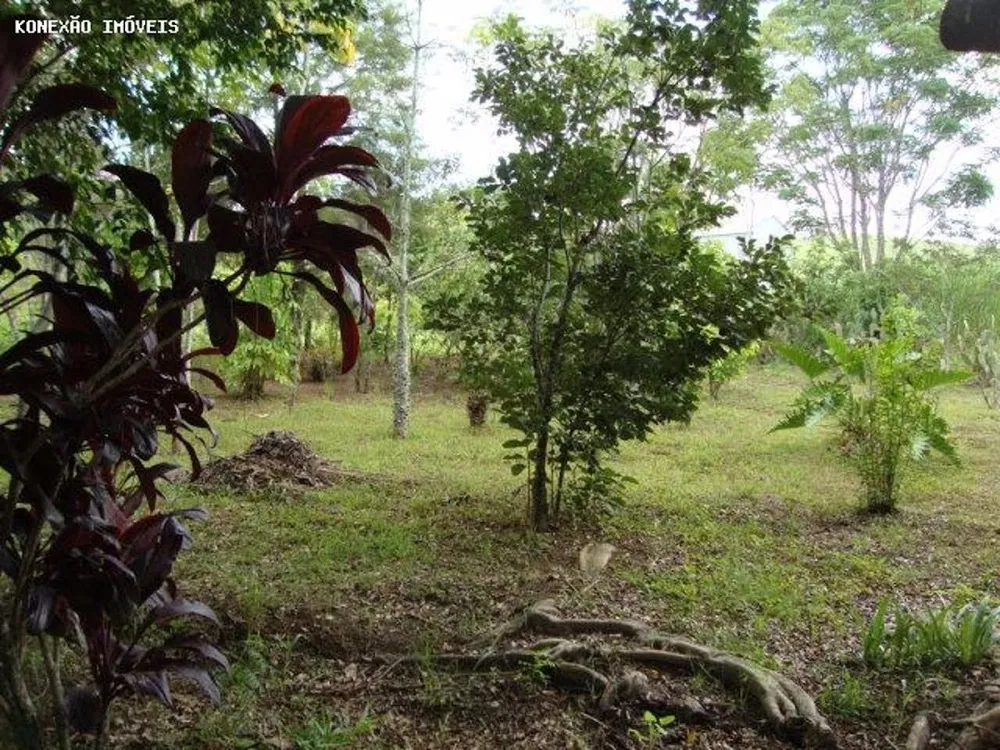 Terreno, 3 hectares - Foto 9