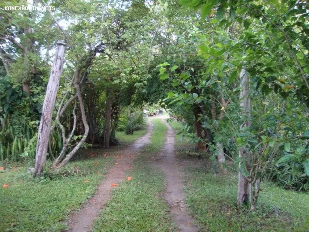 Terreno, 3 hectares - Foto 8