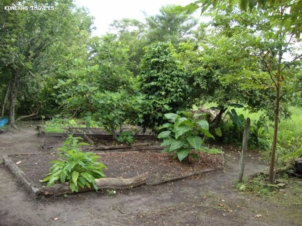 Terreno, 3 hectares - Foto 12