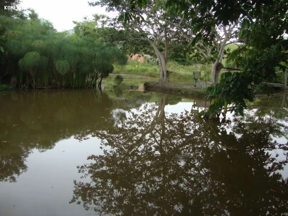 Terreno, 3 hectares - Foto 6