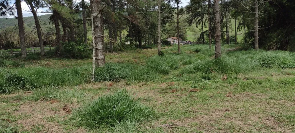 Fazenda, 300 m² - Foto 2