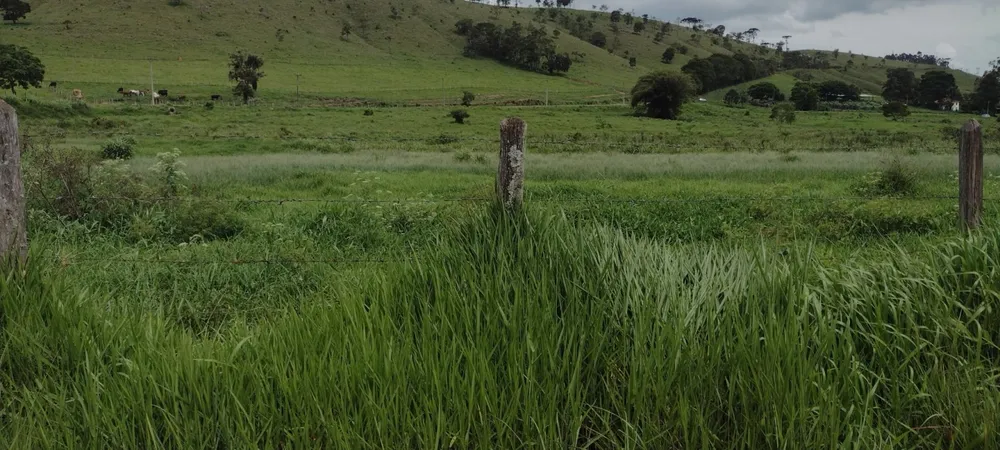 Fazenda, 300 m² - Foto 6